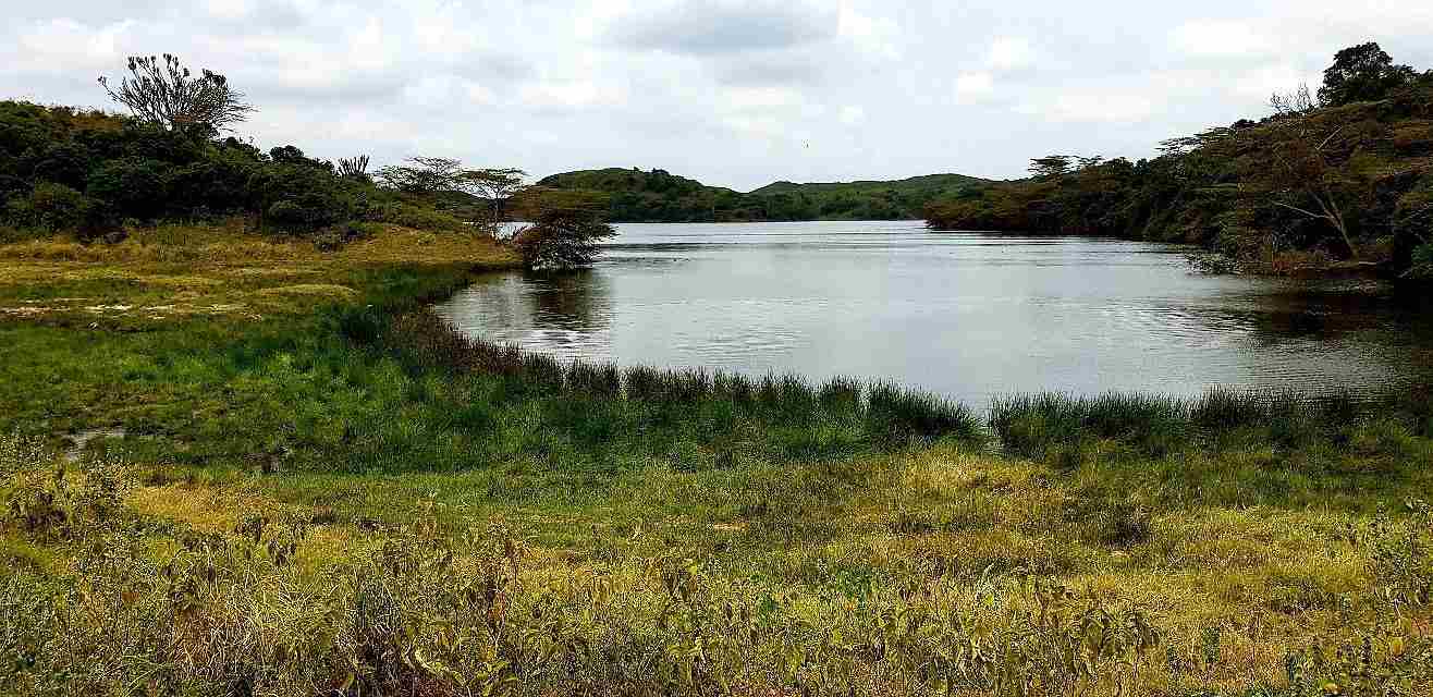 Flamingos at Momella Lakes