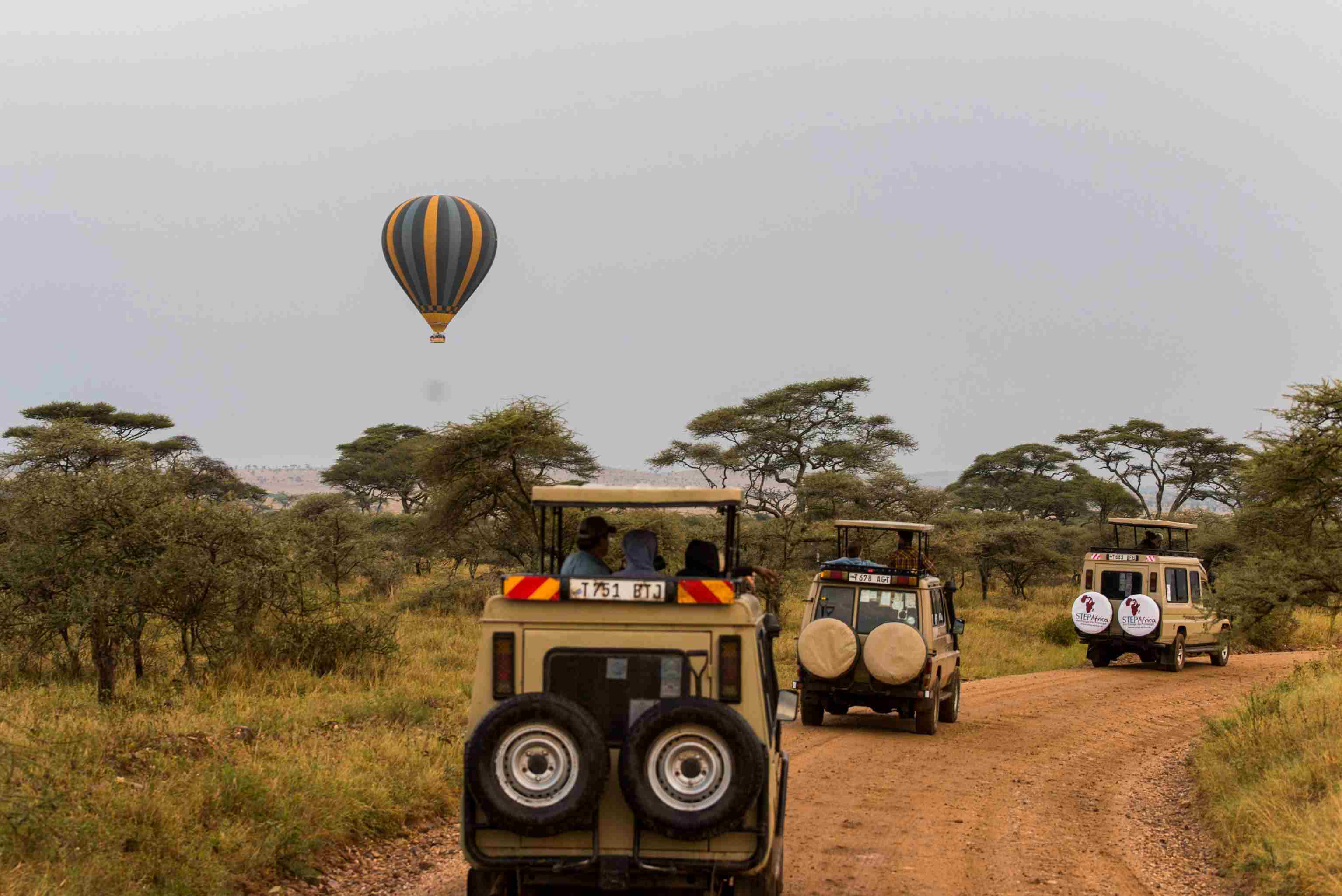 Your Trusted Gateway to the Tanzanian Wilderness