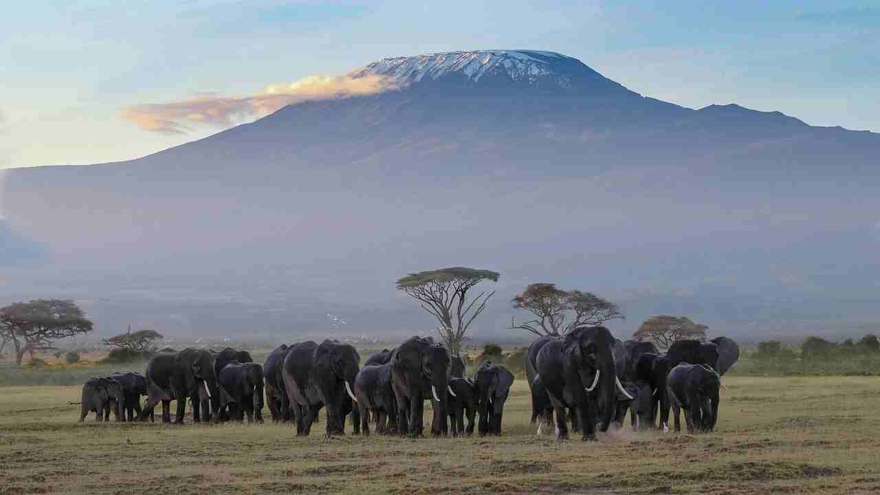 Kilimanjaro Trek & Safari Combo