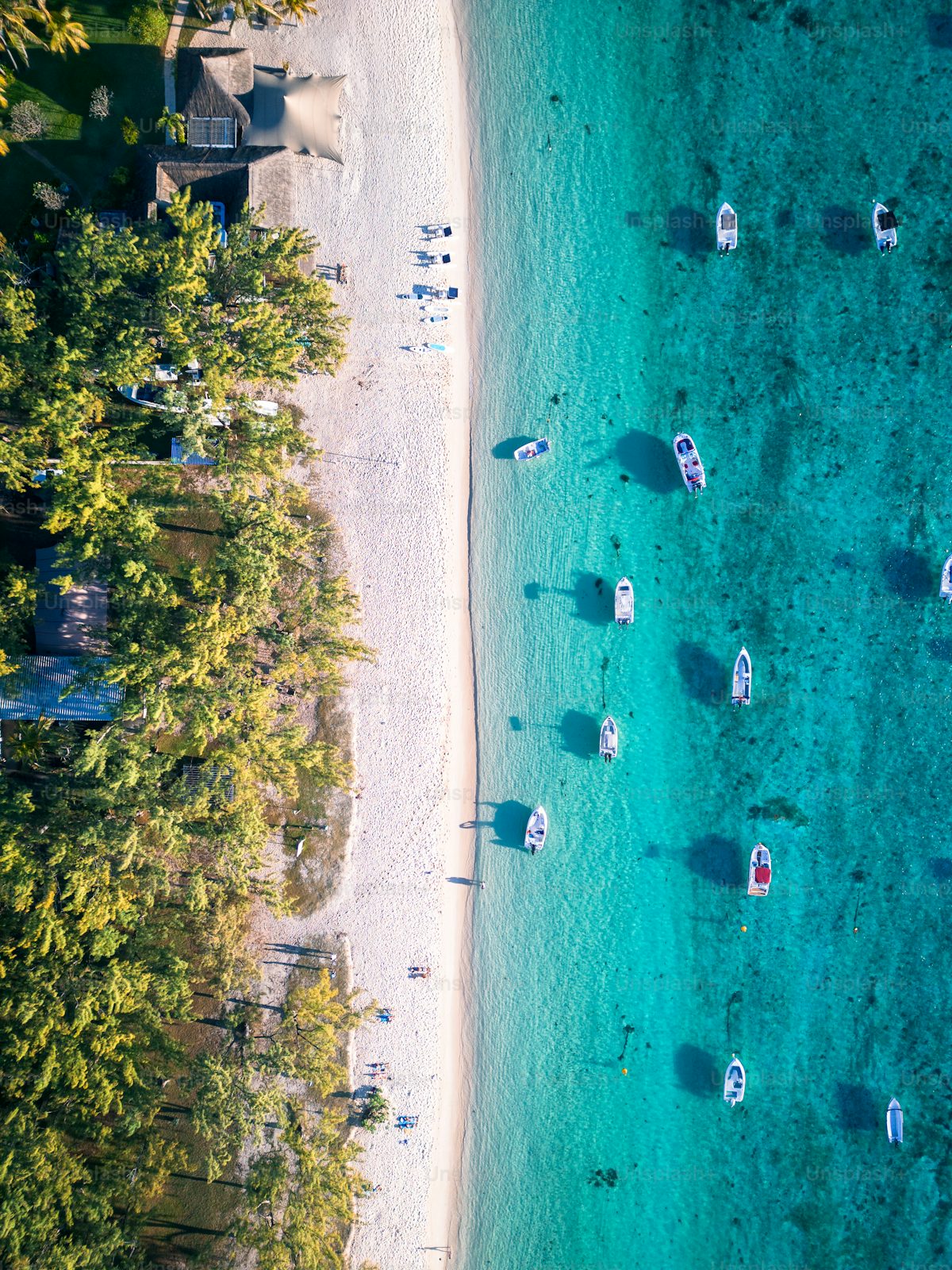 Tarangire Zanzibar Beach